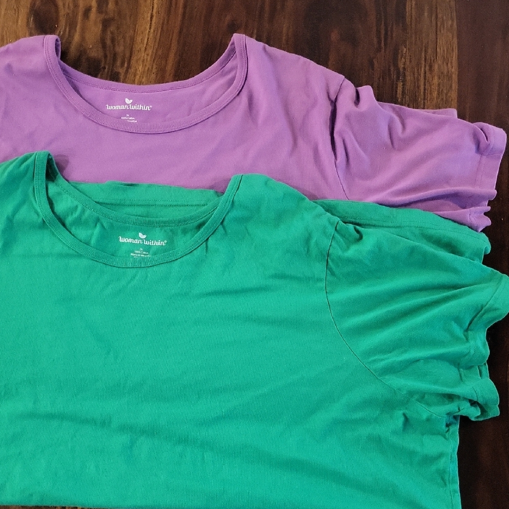 WOMEN'S PLUS SZ SHORTSLEEVED Ts Purple And Green Sz 3X Great Condition 2 Pcs
